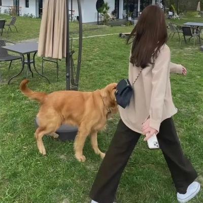 隋唐英雄传
